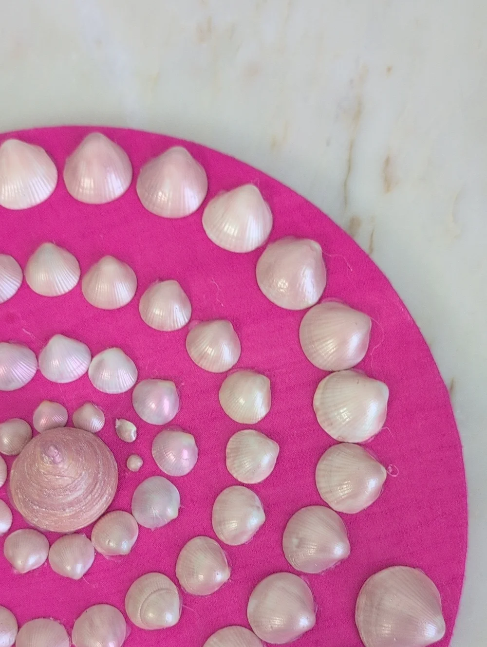 Coastal SeaShell Decorative Wall Art 12in Pink Background